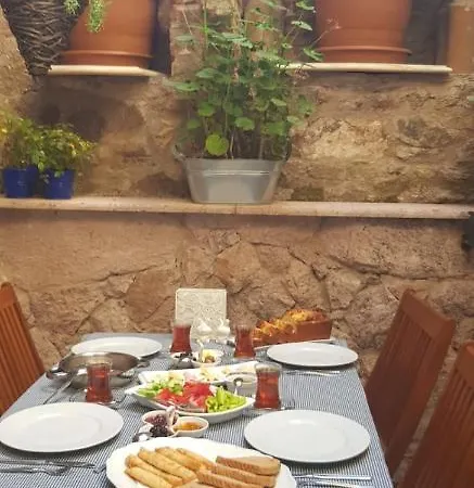 Guest house Soho *
